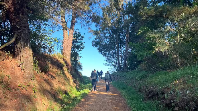 The journey is an individual one, and exploration of the Galician culture and 
country  side the enjoyment of tranquility.